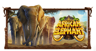 Jogue o Caça-Níqueis African Elephant™