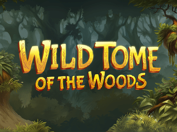 Jogos De Caça-Níquel Wild Tome of The Woods